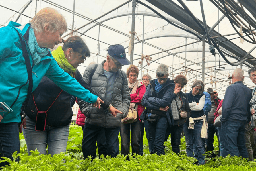 Organic Cooking with the Local Farmer Rosolino
